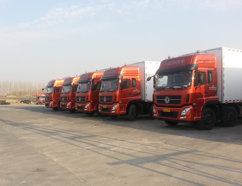 ����������˾�����Ȼ�������